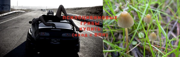 мяу мяу кристалл Магас