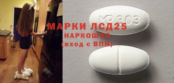 индика Тайга
