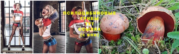 мяу мяу кристалл Магас
