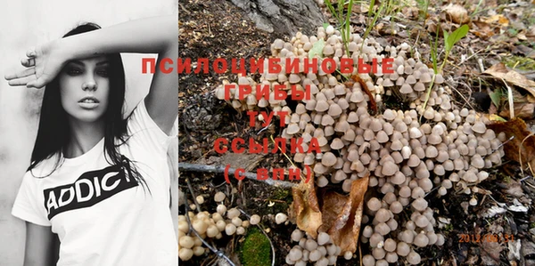 не бодяженный Магадан